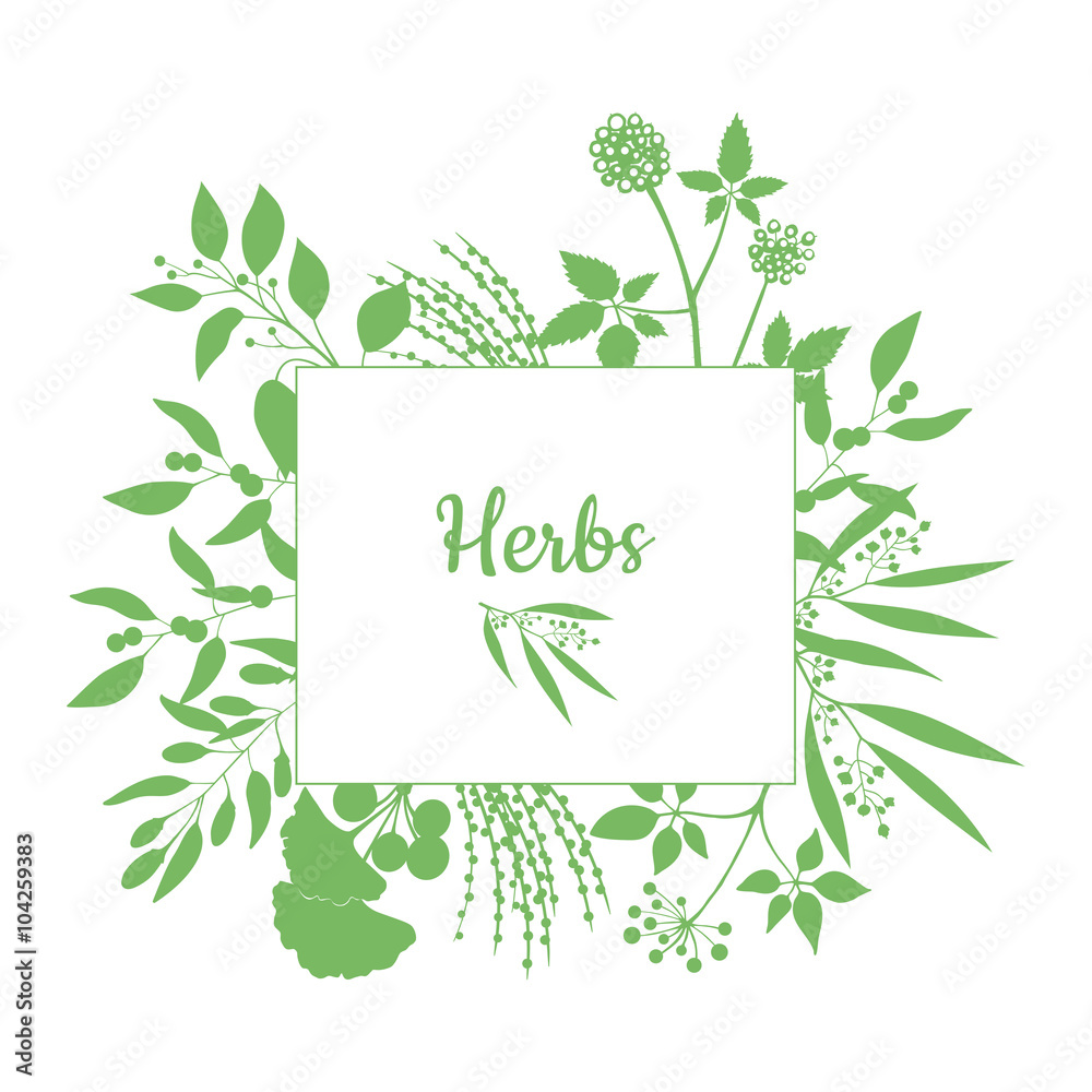 Fresh herbs store emblem. Green square frame with collection of plants. Silhouette of branches isolated on white background