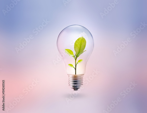 light bulb with energy and fresh green leaves inside on pastel 