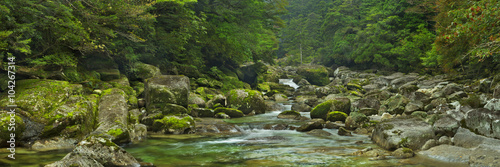 Rainforest river in Yakusugi Land on Yakushima Island, Japan