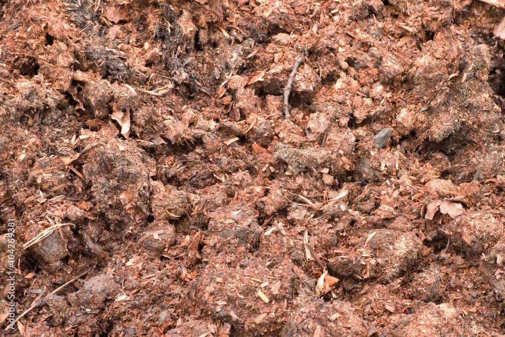 Natural fertilizer from cow dung
