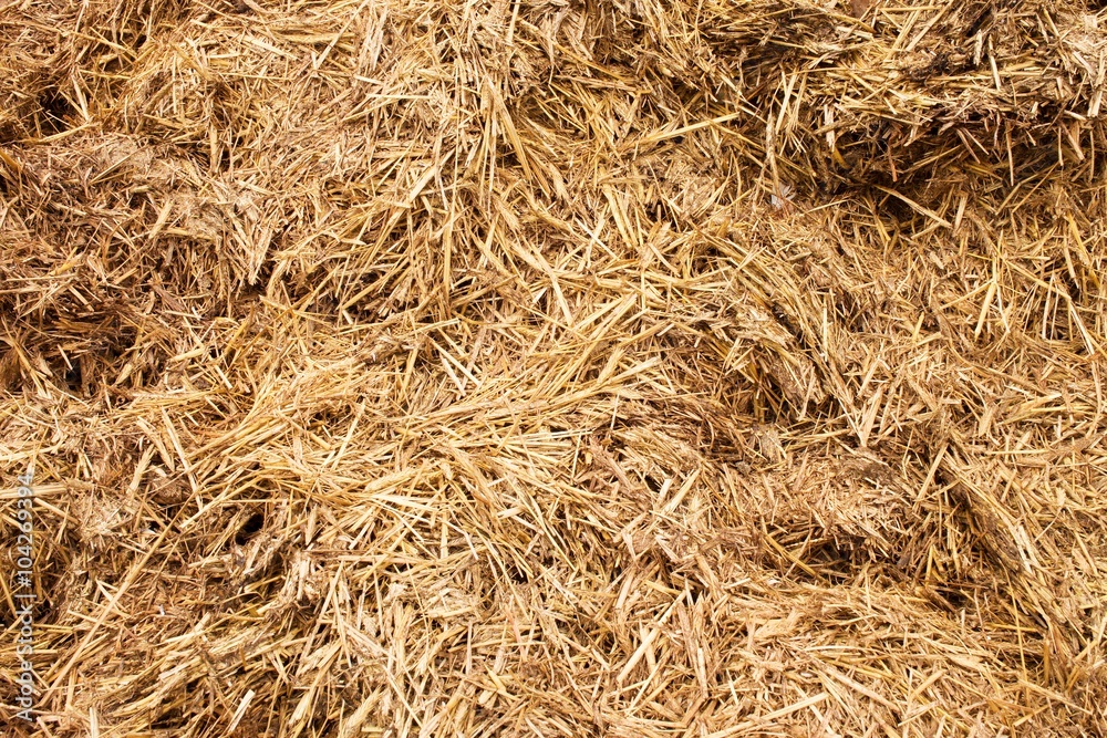 Natural fertilizer from cow dung