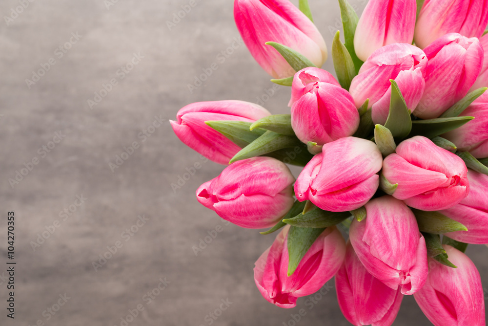 More tulip on the grey background. More tulip on the grey background.