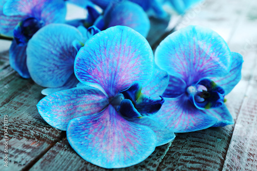 Fototapeta Naklejka Na Ścianę i Meble -  Beautiful blue orchid flowers on wooden background, close up