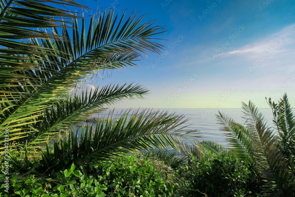 Idyllic landscape with palm trees and sea. Idyllic landscape with palm trees and sea.