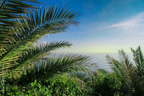 Idyllic landscape with palm trees and sea.