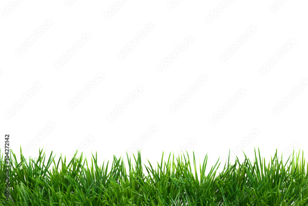 Grassrahmen oder Kante für Design, freigestellt auf weissem HIntergrund