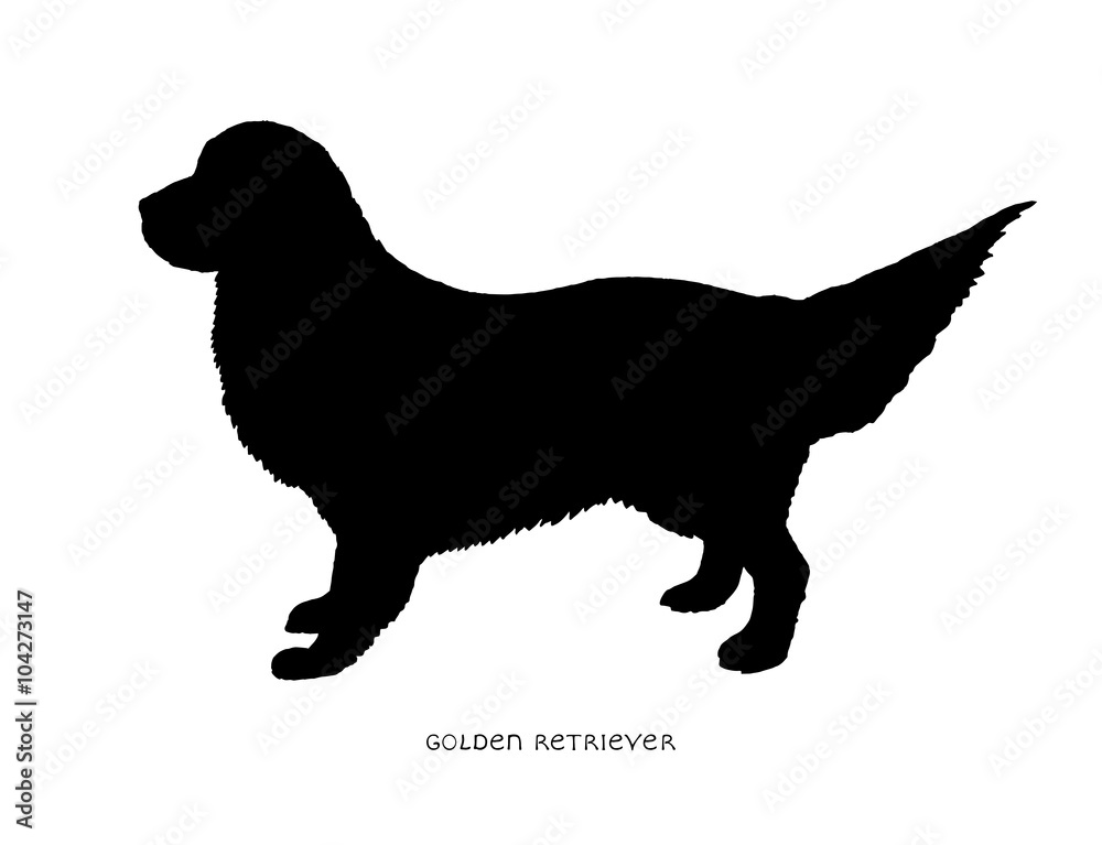 Black silhouette of dog Golden Retriever on a white background with the signature