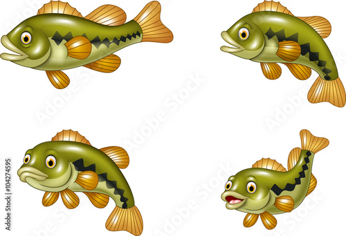Cartoon funny bass fish collection isolated on white background 