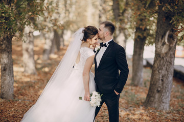 wedding day HD