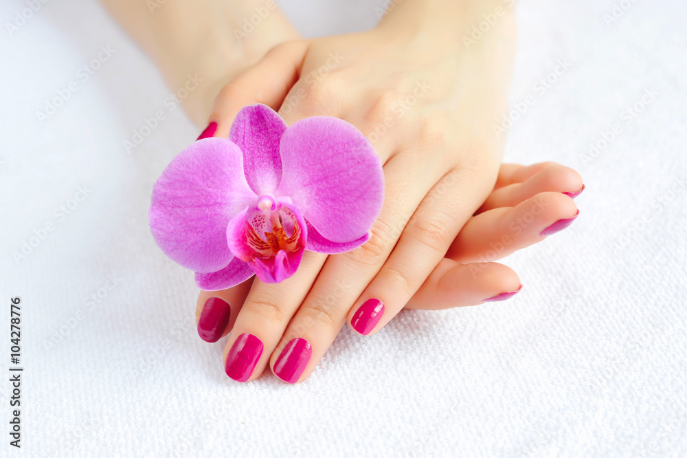 Beautiful hands with manicure and purple orchid flower Beautiful hands with manicure and purple orchid flower