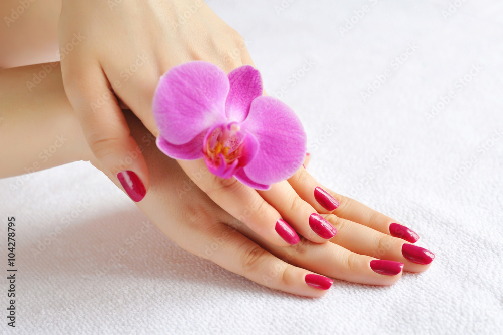 Beautiful hands with manicure and purple orchid flower