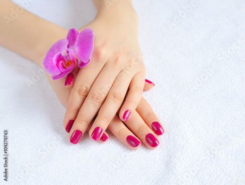 Fototapeta Naklejka Na Ścianę i Meble -  Beautiful hands with manicure and purple orchid flower