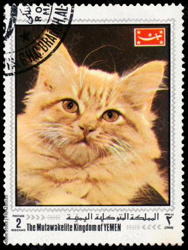 Fototapeta Naklejka Na Ścianę i Meble -  Stamp printed in Yemen shows cat
