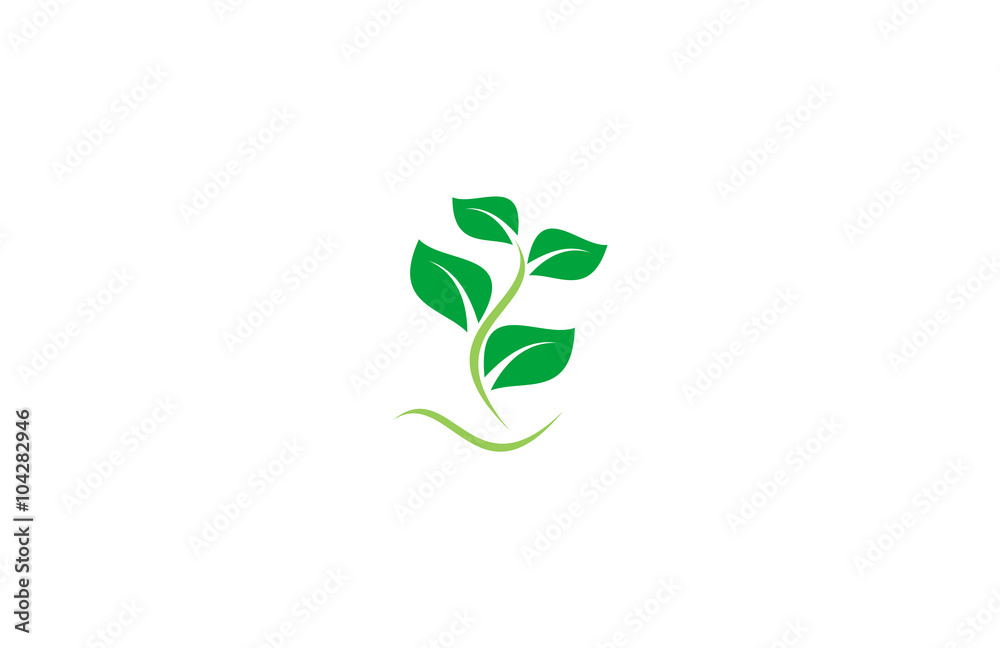 green plant logo