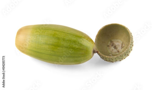 acorns