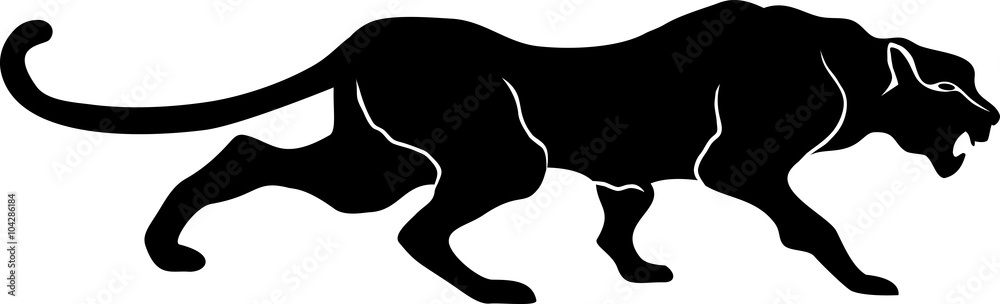 Naklejka premium black Panther leopard cat walks 