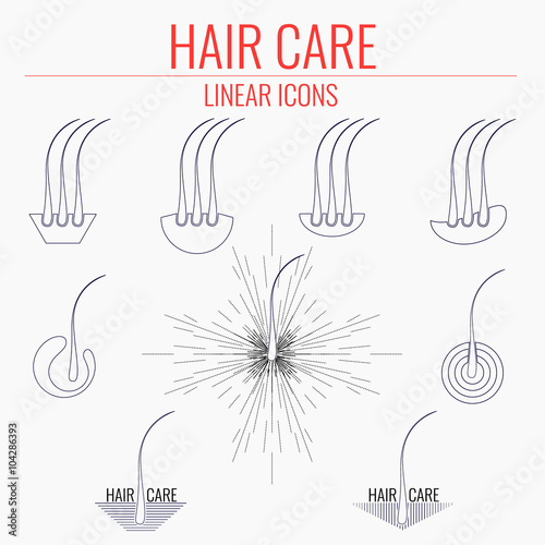 Hair care linear icon set. Set of hair bulb symbols. Hair medical diagnostics symbol. Hair care logo. Hair follicle signs. Hair medical center poster. Hair loss treatment concept. Vector illustration.