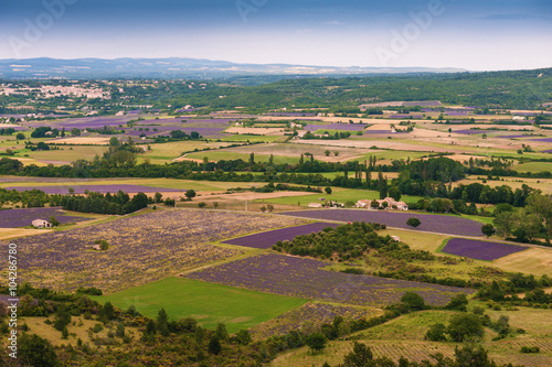 Aerial the lavender fields in Provence  France