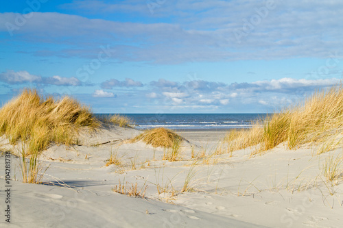 View between two dunes, grown with Beach Grass, on a vast beach and the sea. photo