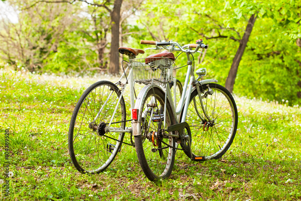 Two old bicycles, concept for love or friendship couple 