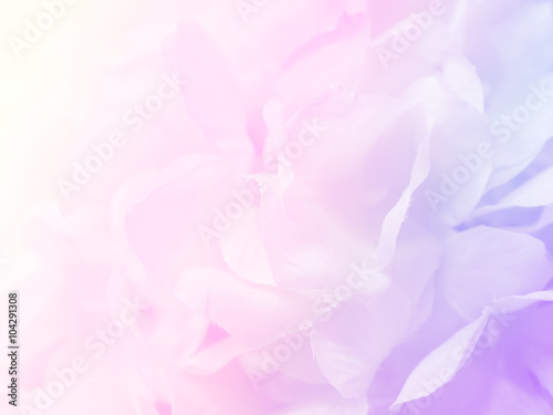 Flower background 22