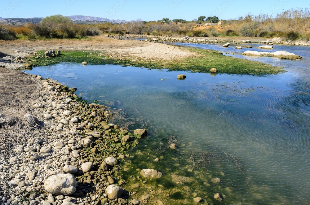 Stones on river, covered with seaweed