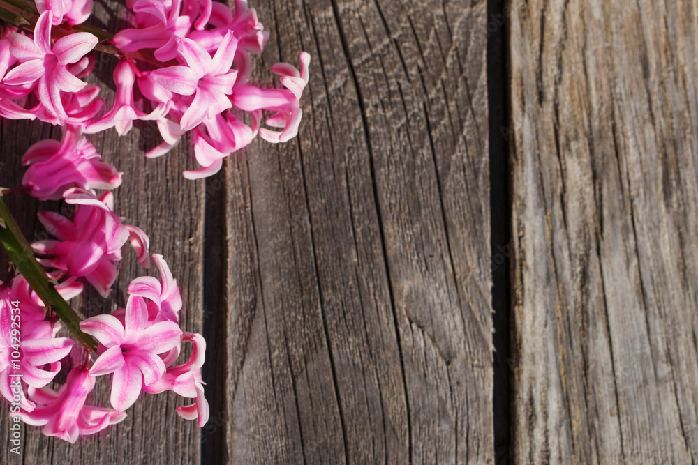 beautiful spring flowers on wooden background beautiful spring flowers on wooden background