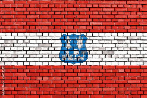 flag of Asuncion painted on brick wall