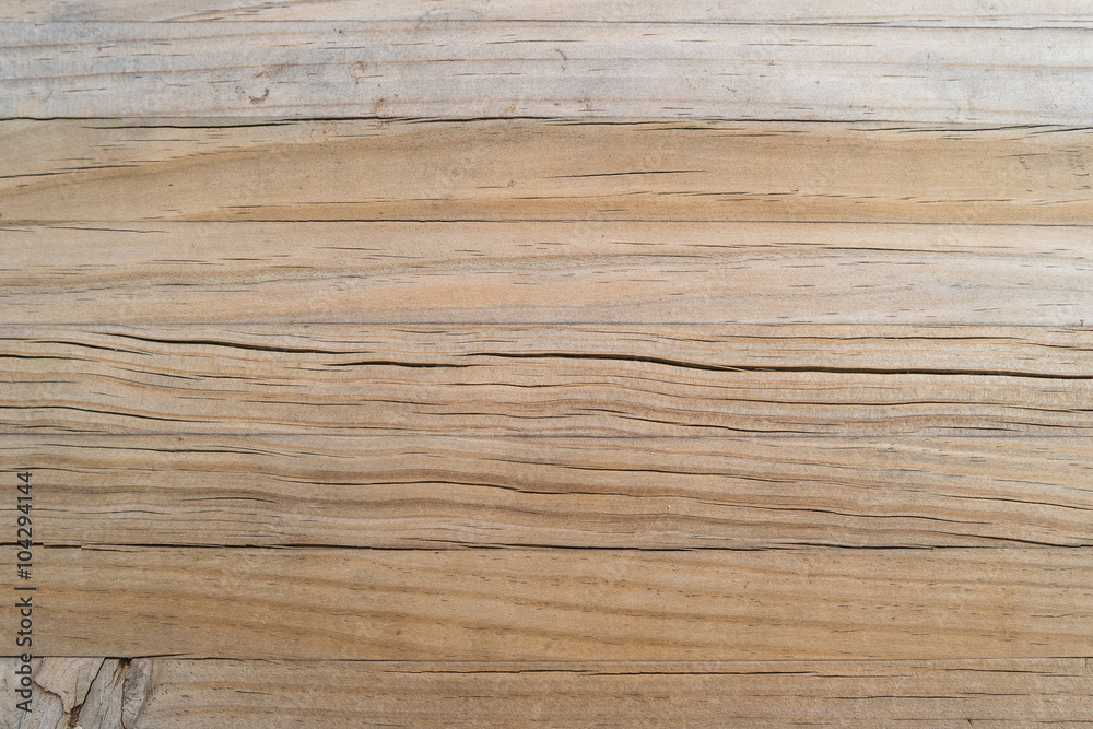 Fototapeta premium Texture of wood background