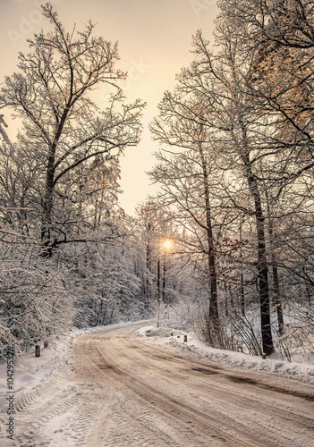 Winter scene, road and trees in the snow on the sunset