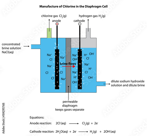 Diaphragm cell diagram for manufacturing chlorine fully labelled