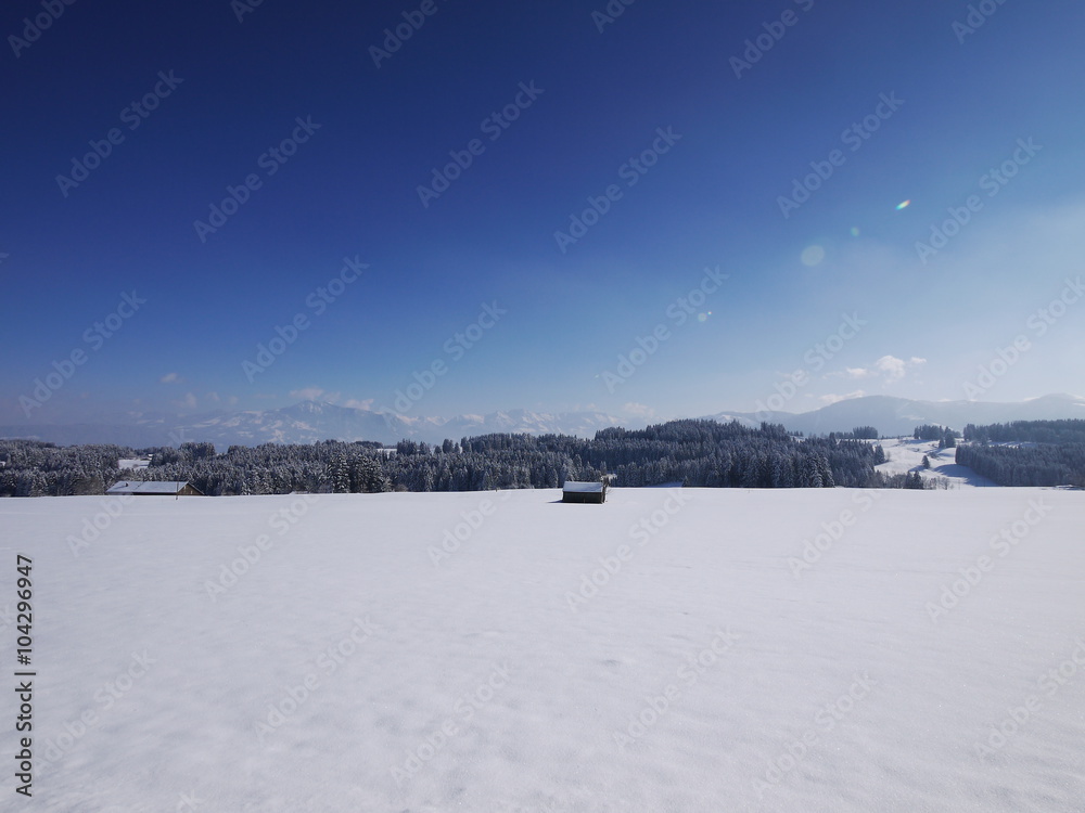 beautiful snowy landscape