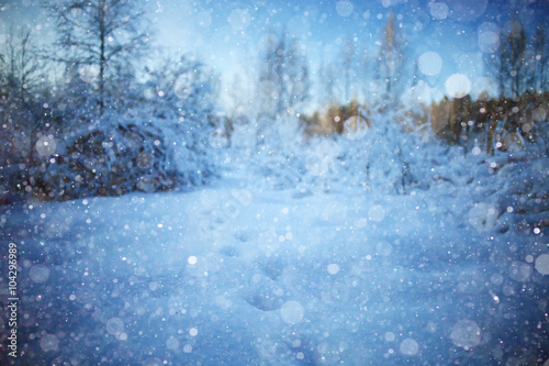 landscape winter forest in hoarfrost background © kichigin19