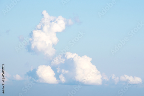 Clouds in the sky shaped like a rabbit.