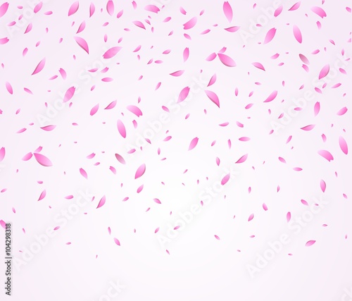 Falling sakura flower background 