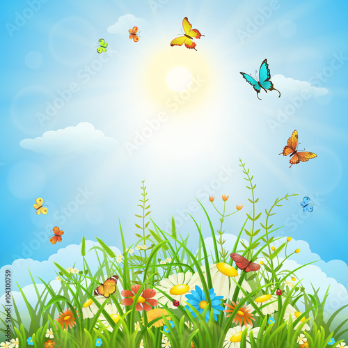 Spring or summer sunny landscape with green grass, flowers and butterflies