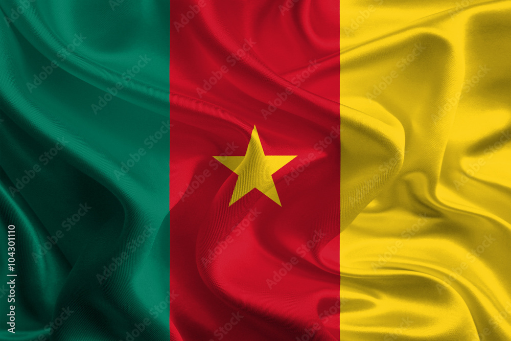 Waving Fabric Flag of Cameroon Waving Fabric Flag of Cameroon