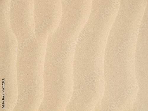 Sand Ripples