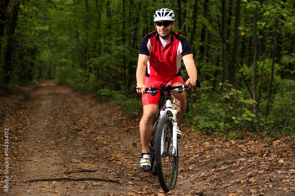 Fototapeta premium Rider on Mountain Bicycle it the forest