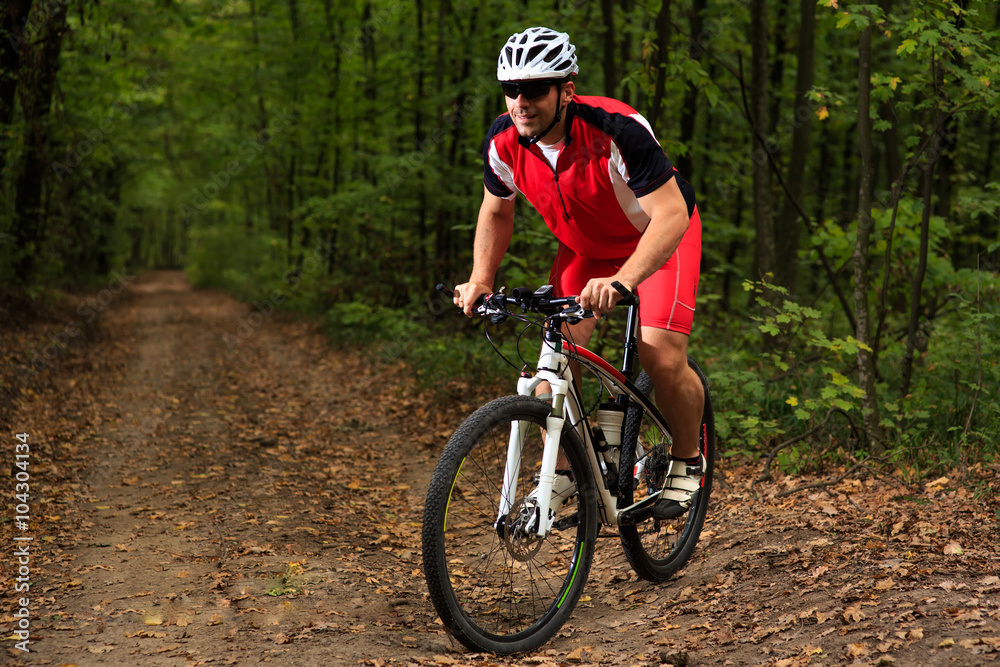 Rider on Mountain Bicycle it the forest