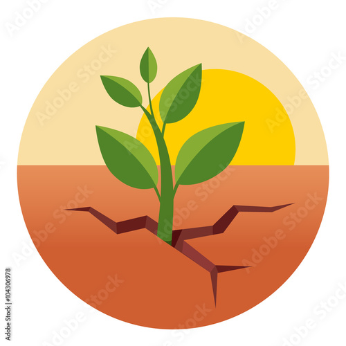 Green sprout grows through dry desert ground