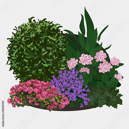 Garden landscapes, summer and spring flower bed. Vector flat illustrations