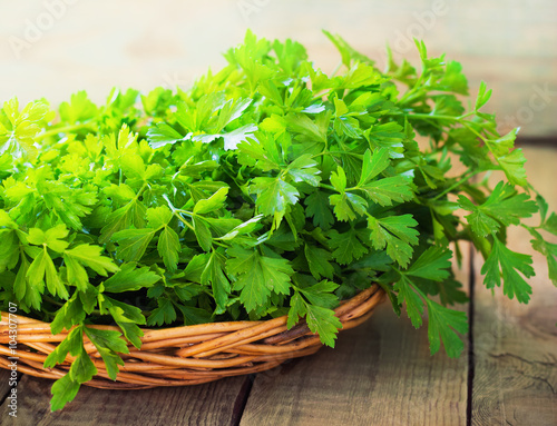 Fresh green parsley on wooden background