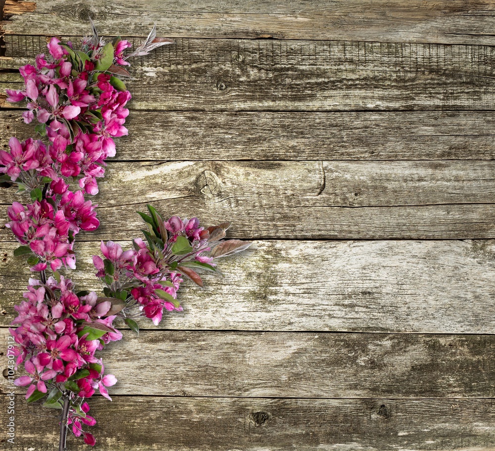 Fototapeta premium Flower.