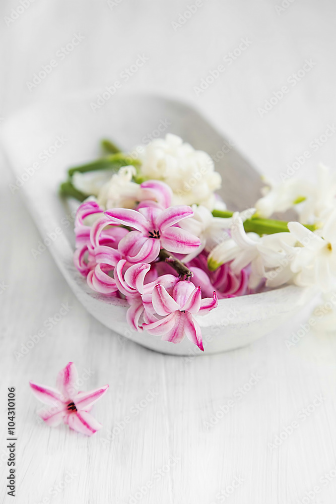 White and pink hyacinth flowers .Spa setting