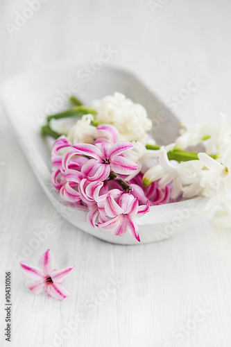 White and pink hyacinth flowers .Spa setting