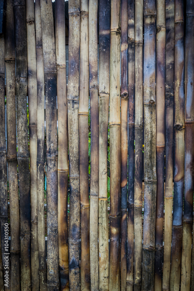 close up of bamboo wood background texture