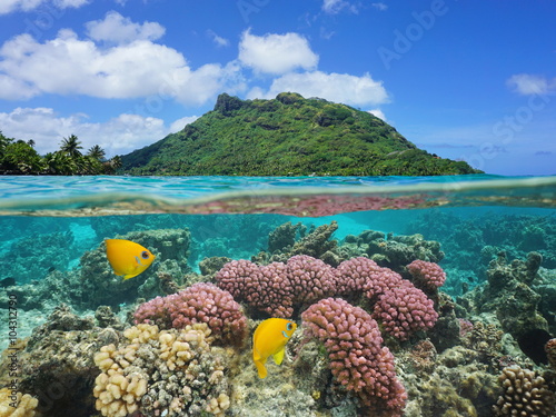 Split image above and below water surface, landscape of Huahine island with coral and tropical fish underwater, Pacific ocean, French Polynesia