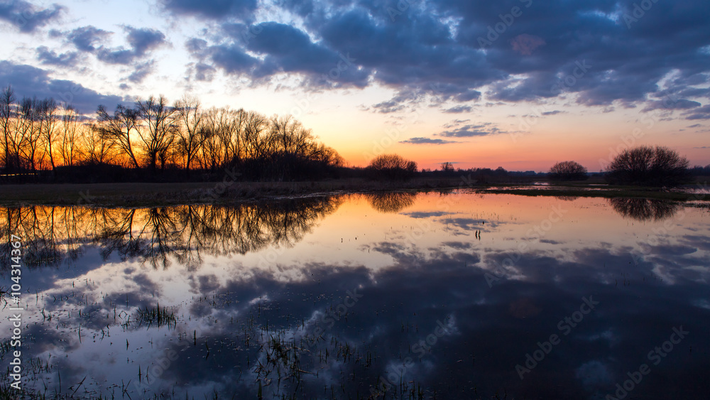 Fototapeta premium European pond reflecting the sky.