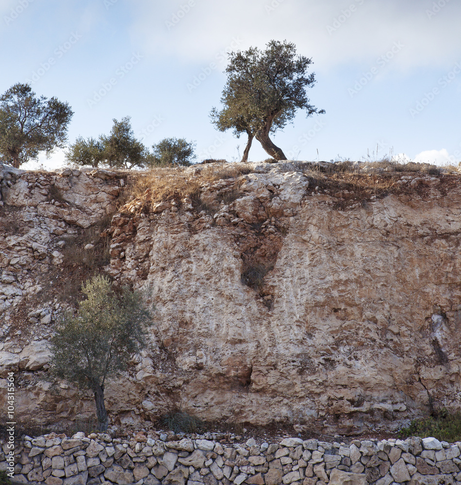 landscape, panorama, views of Israel, Jerusalem, the holy places, the ...